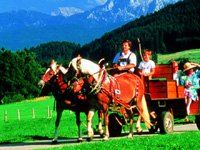 Allgäu Urlaub: Pferdekutsche