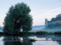 Urlaub im Altmühltal: Burgsteinfelsen, Foto: Naturpark Altmühltal