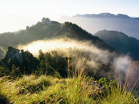 Reisen in Oberbayern: Morgenstimmung am Laber