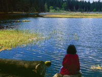 Reisen im Bayerischen Wald: Kleiner Arbersee