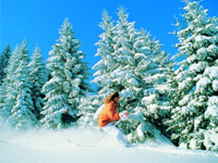 Winterurlaub in Bayern: Ski Alpin 